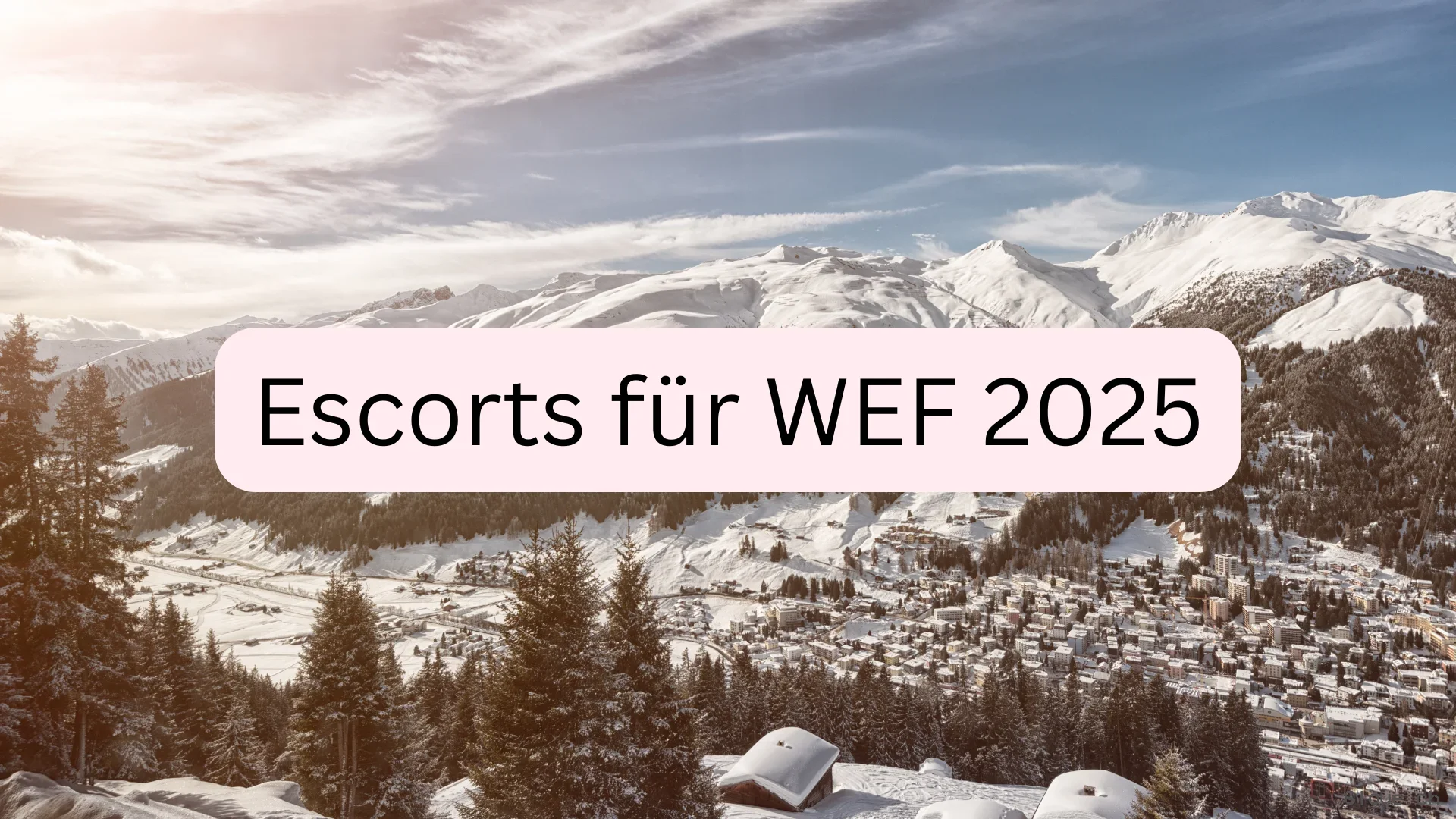 Escort WEF 2025 – Begleitung auf höchstem Niveau