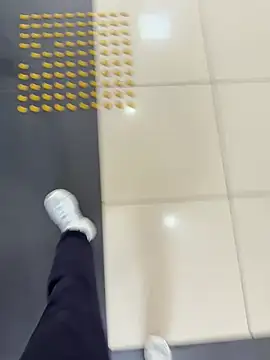 Turkishleo